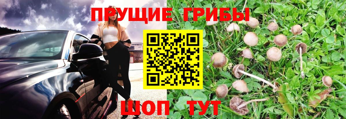 Псилоцибиновые грибы мухоморы Шарыпово